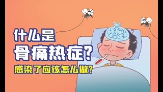 什么是骨痛热症？感染了应该怎么做