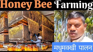 मधुमक्खी पालन की संपूर्ण जानकारी, Bee farming trainee, Bee farming for beginners, #beefarming