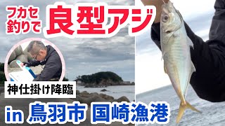 アジを釣る！三重県鳥羽市 国崎漁港で良型爆釣！フカセ釣り！ いろんな種類が釣れました。