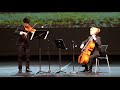 大小提琴二重奏 《帕萨卡利亚舞曲》 passacaglia for violin and cello by handel halvorsen