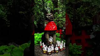 Sasuke Inari Shrine / Kamakura ohrine 佐助稲荷神社