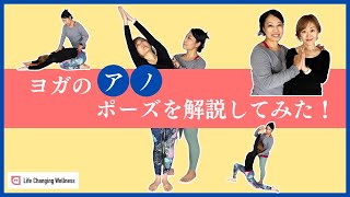 【ヨガポーズ】正しく意識するポイントを知ると効果絶大になる！