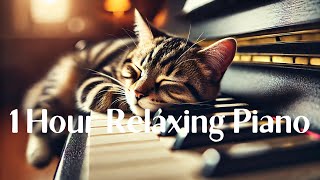 【睡眠用BGM / 1時間】1 Hour of Relaxing Piano Music for Sleep and Stress Relief