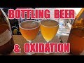 OXIDATION TEST - Bottling Home Brew Beer!