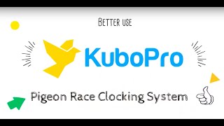 KuboPro Pigeon Race Clocking System