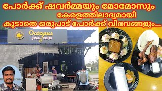 കേരളത്തിലാദ്യമായി പോർക്ക് ഷവർമ്മ/ Pork Shawarma first time in Kerala/ korean pork/ pork alfaham