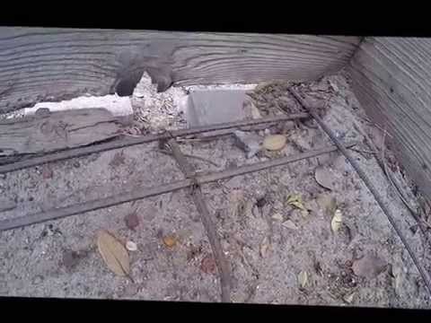 Cheap Easy way to stop a dog from digging under the fence. Cheap Easy way to stop a dog from digging under the fence.