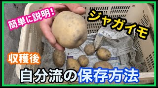 【ジャガイモ】収穫後の長期保管保存方法！How to store potatoes