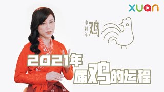 2021年属鸡的运程 今年可能升职加薪哦！｜鲍一凡老师说生肖