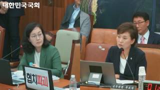 2017년 국토교통위원회 인사청문회 (김현미 국무위원 후보자 )김현아 의원 질의영상(4)