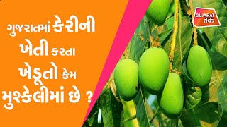 Navsari : છાપરાં-દિવાલો-દરવાજા બધુ જ ઉડી ગયું હવે બચ્યા તો માત્ર વિનાશના નિશાનો.1200ની કેરી થઈ 300ની