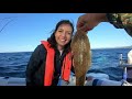 bermagui nsw fishing u0026 mud crab catching