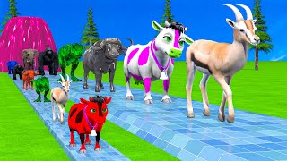 Paint \u0026 Animals Cow,Antelope,Monkey,Buffalo,Elephant Fountain Crossing Transformation Animal Cartoon