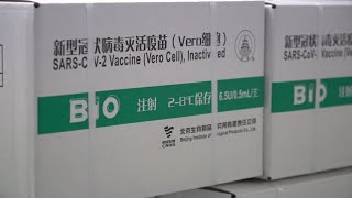 GLOBALink | WHO validates China's Sinopharm COVID-19 vaccine for emergency use