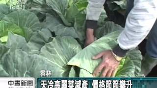 20120223 公視中晝新聞    天冷減產 二崙菜農400顆高麗菜被偷