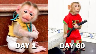 Monkey YuYu's change from day 1 to 60 days!