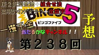 【ビンゴ5当たるかな予想】第238回の予想 ！！今回は、新２択消去法＋組合せ法！