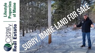 SOLD | Land for Sale in Surry | Maine Real Estate