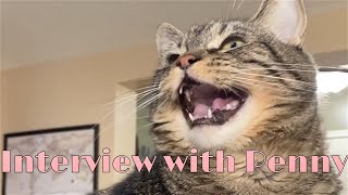 Q & A with Penny the talking cat!