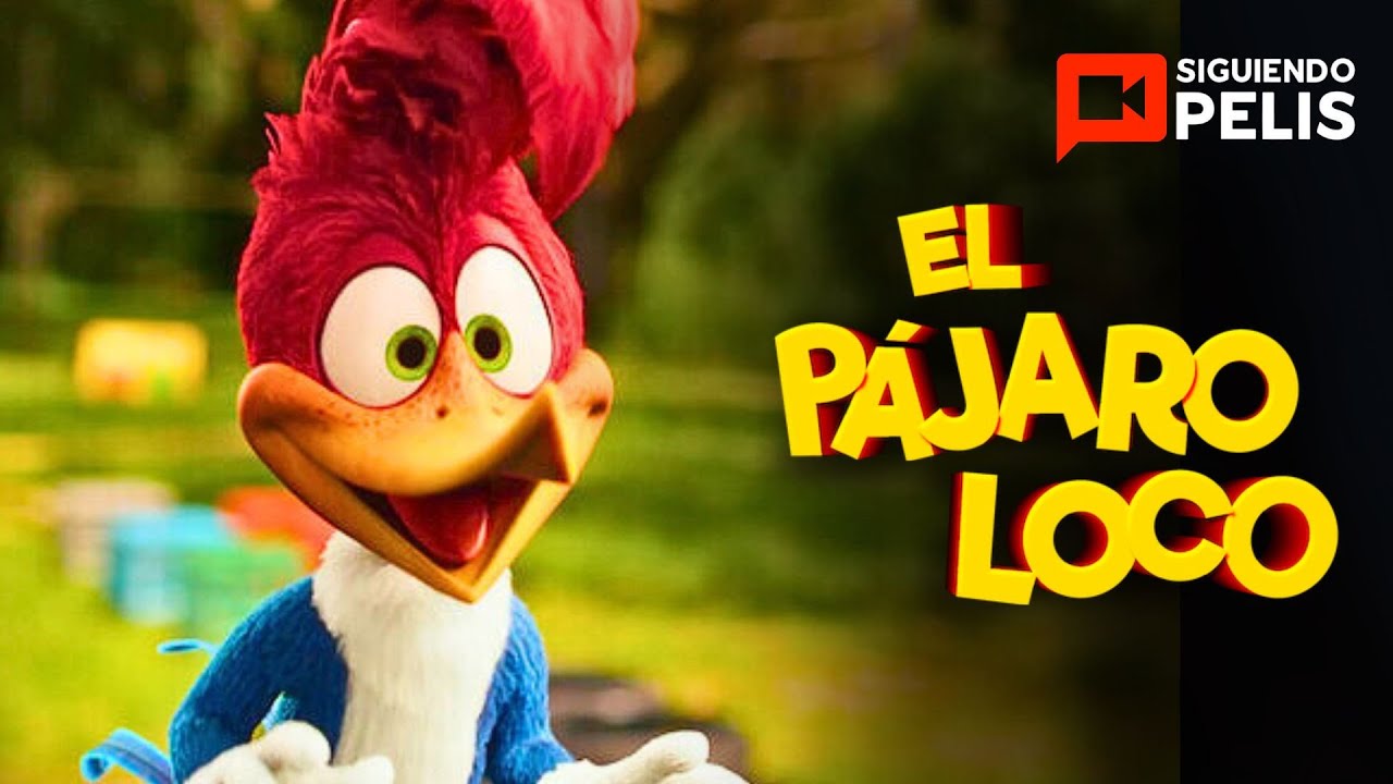 El Pájaro Loco Live Action Resumen En 13 Minutos Youtube