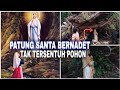 Mukjizat! Patung Santa Bernadet tak tersentuh pohon besar yang tumbang di India