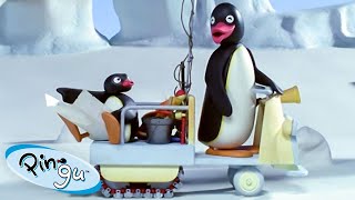 Like Father Like Pingu! 🐧 | Pingu - Official Channel | Cartoons For Kids