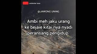 JAKU JAIK URANG ENGGAI MEDA KITAI AMBI MEH NYADI PERANSANG PENGIDUP.