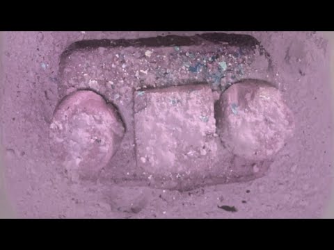 Purple Reforms Youtube