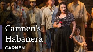 "L'amour est un oiseau rebelle" | Carmen | Great Performances at the Met