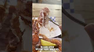 샌프란시스코 11월 날씨와 맛집 추천! 랍스터를 제대로 즐길 수 있는 곳 🦞#샌프란시스코여행 #샌프란시스코맛집 #뉴잉글랜드랍스터 #샌프란시스코11월날씨 #랍스터롤맛집 #여행정보