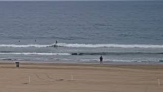 Why Surf Bad Waves?