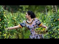 Spiny gourd!One of the best nutrition indirectly.Finally made a satisfying lunch|Poorna-The nature