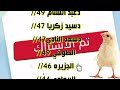 اسعار الكتاكيت البيضاء اليوم سعر الكتكوت الأبيض اليوم السبت 8 2 2025 شركات واهالي