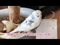 セキセイインコの病気！頭の羽が黒くなったら要注意【vlog 047】budgerigar with blackened wings