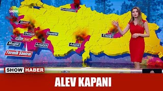 Alev kapanı