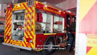 Bomberos y su trabajo durante la gestión de emergencias en el marco del Sinae