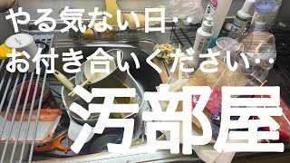 〔ごみ屋敷〕30分掃除🧹生理でやる気のない日！食器洗いをお付き合いください🙇‍♀️✨