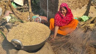 দেরাদুন ধান থেকে চাল তৈরি করার জন্য কাজ শুরু করে দিলাম, Mehek kitchen Vlog