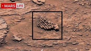 NASA Mars Rover Sent Most Clear Evidence Footage! Perseverance and Curiosity' Ro