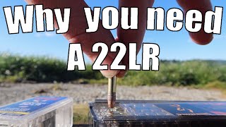 Why you need a firearm in 22 Long Rifle