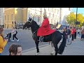 Horse freaks out Kings guards stops horse from running in the road.