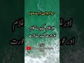 Surah Al Baqarah (Verse# 178-179) Urdu, Hindi Translation, #shorts @islam63official