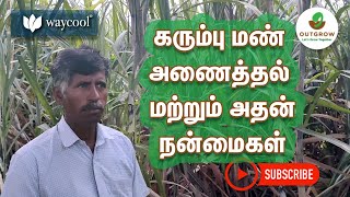 Sugarcane earthing up and its benefits | கரும்பு மண் அள்ளுதல் மற்றும் அதன் நன்மைகள் | Outgrow