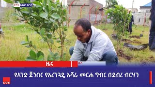 የአንድ ጀንበር የአረንጓዴ አሻራ መርሐ ግብር በደብረ ብርሃን