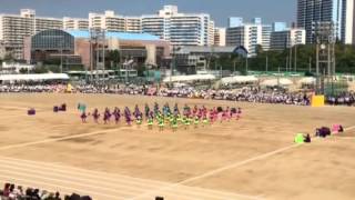 2014.10.8.『平成26年度 体育大会』 武庫川女子大学附属中学校・高等学校