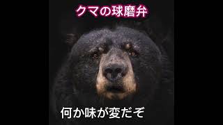 クマの球磨弁2