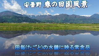 【安曇野 春の田園風景】４Ｋ空撮