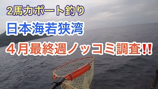 【2馬力ボート釣り】日本海若狭湾4月最終週ノッコミ調査!!