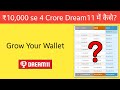 Dream11 Investment Strategy & Tips