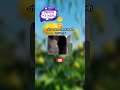 এটা আপনার কোন বান্ধবী 😋 comedyvideos shorts tiktok life is journey